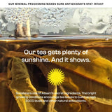 Happy Heart Combo - Green Tea with Arjuna & Cinnamon + Green Tea with Jamun Seeds, Elephant Apple & Turmeric