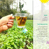 Rare Assam White Tea