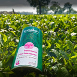 PCOS Care - Green Tea + Spearmint