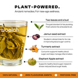 Steady your Sugar - With super power of ancient ingredients - Jamun Seeds, Elephant Apple & Turmeric