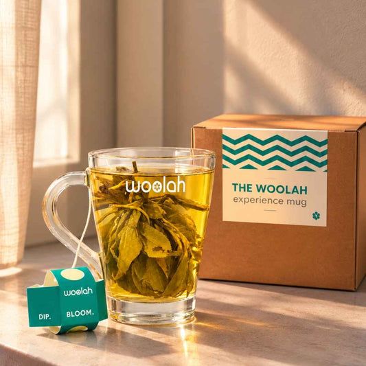 Woolah Experience Mug (Transparent, 280ml)