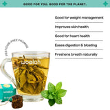 Rare Assam Green Tea + Mint