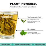 Rare Assam Green Tea + Mint