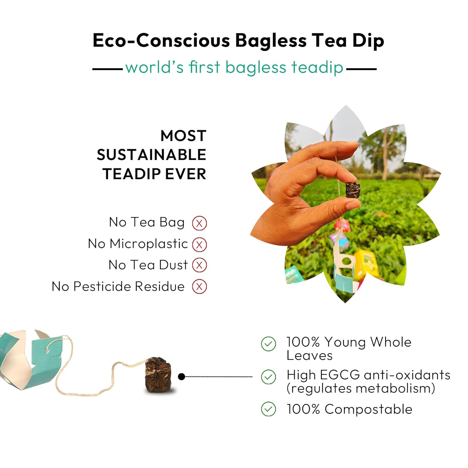 The Complete Combo of 8 Packs + 2 Mugs Free*