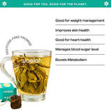 TRIAL PACK with ALL GREEN TEA variants