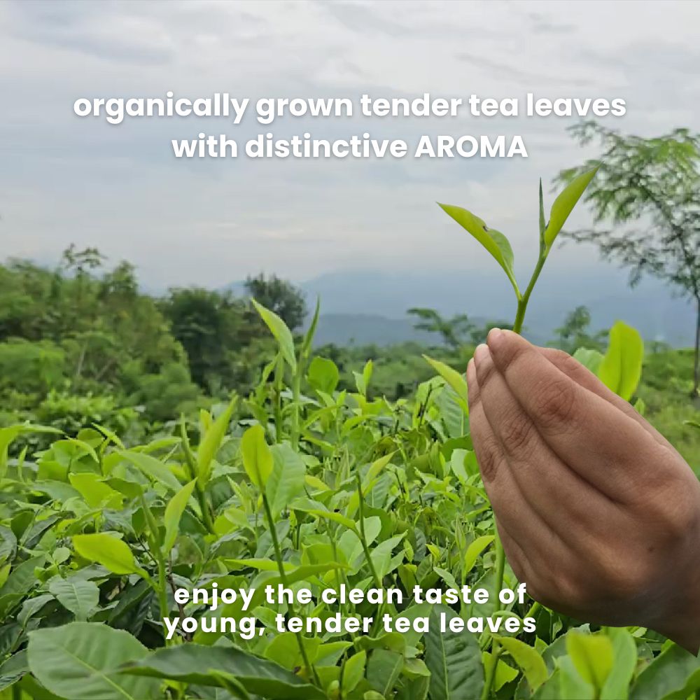 Happy Heart Combo - Green Tea with Ayurvedic Benefits of Arjuna & Cinnamon + Earl Grey