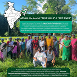 Rare Assam Green Tea + Mint