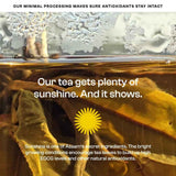 Rare Black Tea + Tulsi