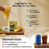 Prebiotic Lemon Masala Iced Green Tea with only 1 gram Jaggery